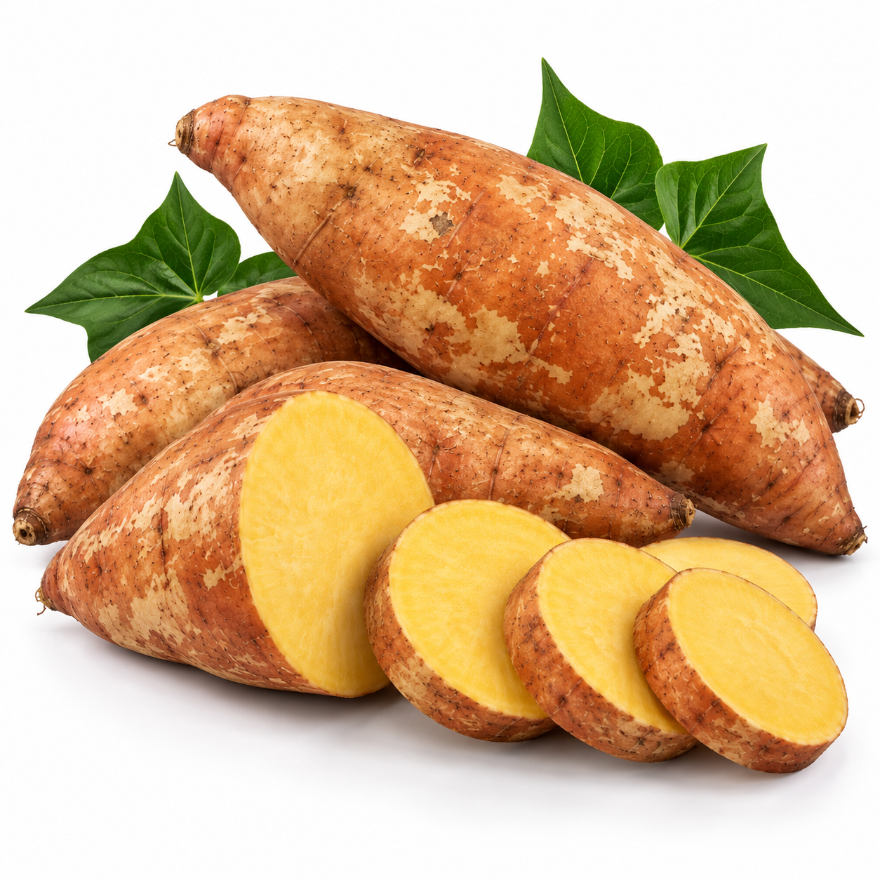 Canol Sweet Potato