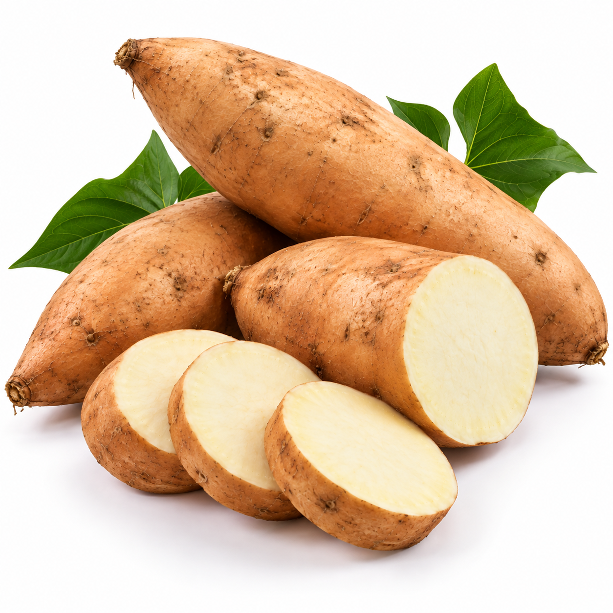 Tifey Sweet Potato