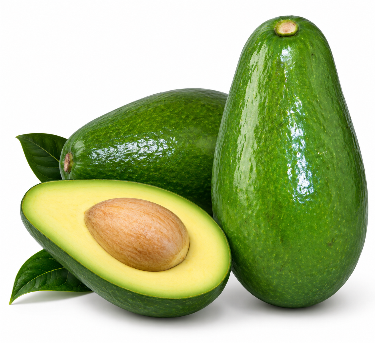 Beneker Beni Avocado