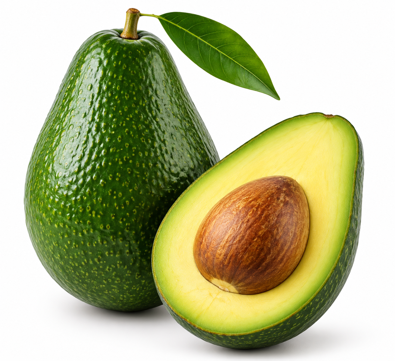 Carla Avocado