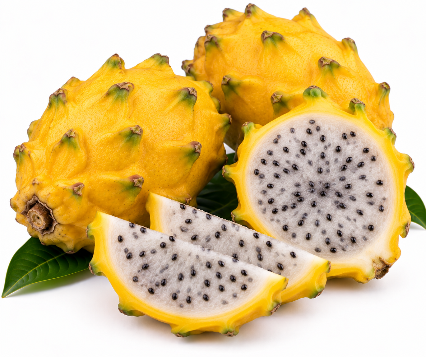 Yellow Pitahaya