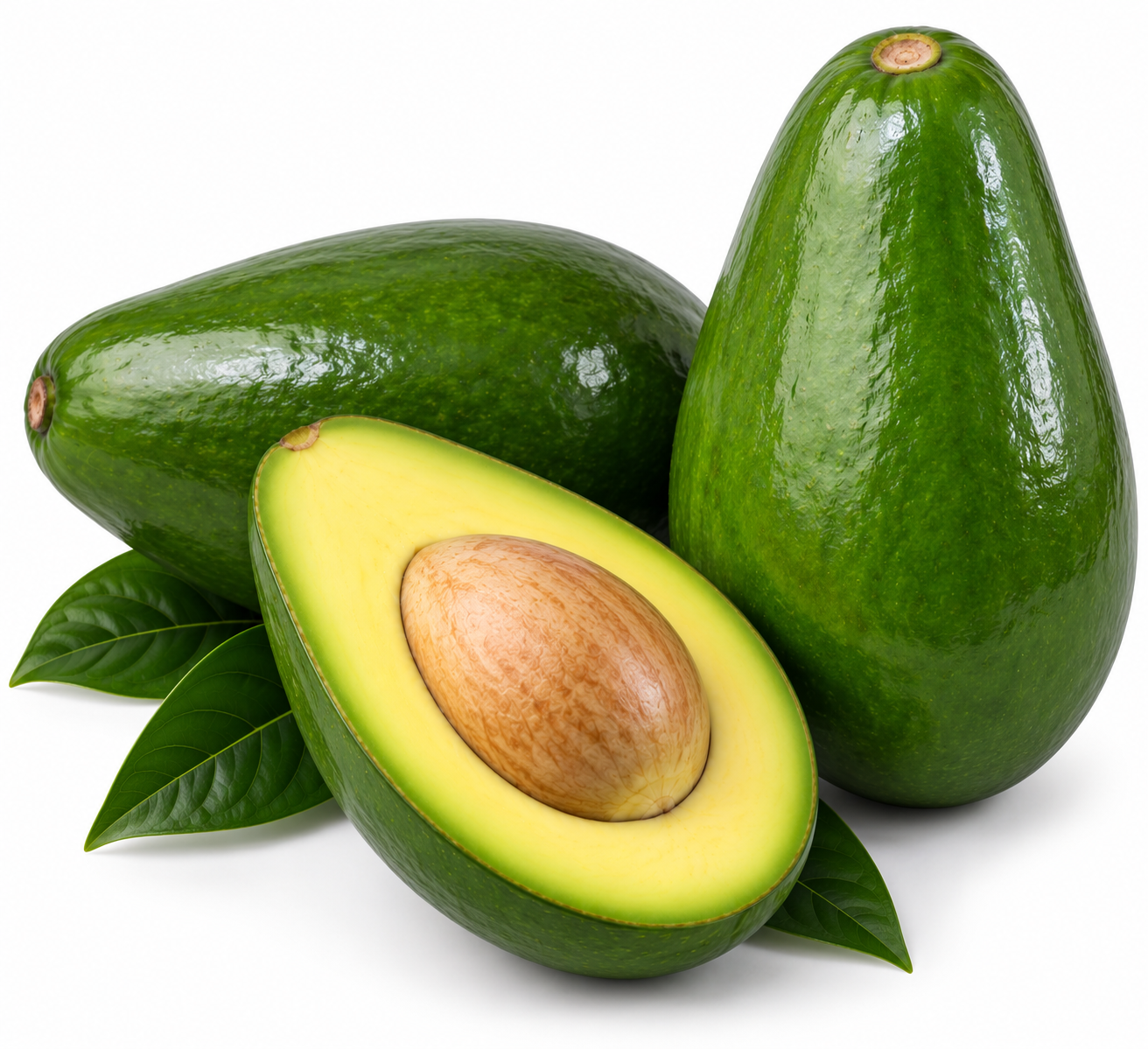 Pola Avocado